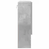 Tükörszekrény polcokkal Beton szürke 59 x 17 x 55 cm Faanyag