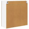 Függő szekrény polcokkal Riga Öreg fa 80 x 31 x 80 cm Faanyag