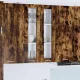 Függő szekrény Riga Füstölt tölgy 60 x 31 x 100 cm Faanyag