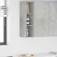 Függő szekrény Riga Beton Szürke 20 x 29,5 x 80 cm Faanyag