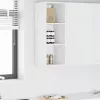 Függő szekrény polcokkal Riga Fehér 30 x 29,5 x 80 cm Faanyag