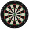 Szizál professzionális darts tábla 6 nyíllal és tábla védővel
