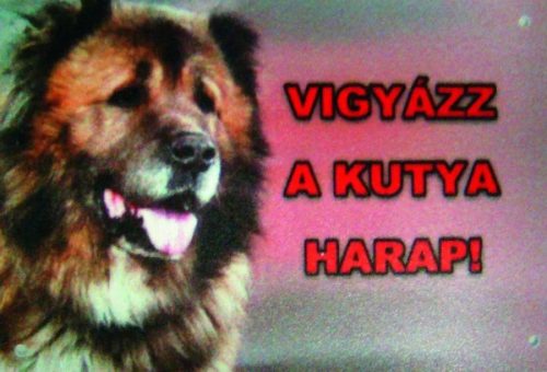 Kutya Harap Tábla Színes 8x12 (többféle)