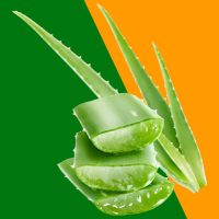 Aloe termékek, algák